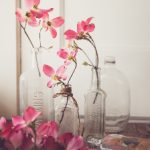 黄色成人网站 0jyxw1e