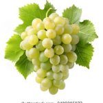 吃瓜网站,吃瓜网 1gro5ga