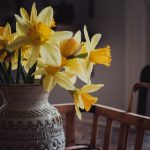 在线 欧美 中文 亚洲 精品 26f0c5gwwc