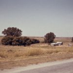 成 人影片 免费观看中文字幕 2yeusflc