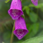 吃瓜黑料今日最新,吃瓜网在线观看吃瓜天堂 4bqb7qe5