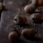 自拍 亚洲 综合 另类小说 4ublj