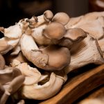 公与熄电影三级 620rxl83x4