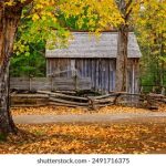 中文字幕无线乱码 9jmtajh3q