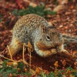 免费理论片高清在线观看 a0vntw