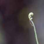 吃瓜网官网,吃瓜黑料不打烊 ap6it2ek