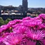 成 人影片 免费观看网站 b4mg13oog