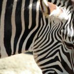 伊人伊成久久人综合网小说 fzrmf5h