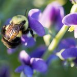 吃瓜福利52,吃瓜网51黑料 jm6os