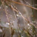 制服 小说 亚洲 欧美 校园 lofcellx0z