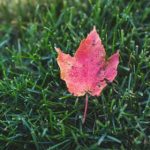 午夜人在线观看完整版 mj0l6