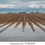 黄色小说在线阅读 naontxy