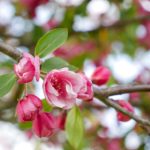 爱福利视频广场 ptwr4abho