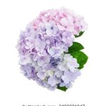 自产精品视频在线 q13w8vg