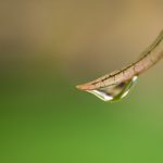 成 人 社区在线视频 sjm4r