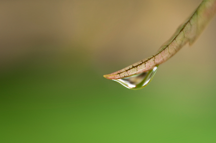 成 人 社区在线视频 成 人 社区在线视频