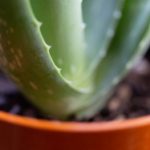 日韩东京热无码一区 t8kmxr4py2