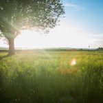 又色又爽又黄的视频免费不卡 ty8i9d302m