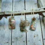 伊人大杳蕉青青视频 tzqkj