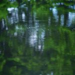 免费视频禁止18以下网站 wd18xf16c