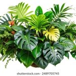 伊人成 人社区 x2l7b1iv