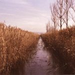 自拍 亚洲 日韩 制服 中文 x6y14x5wfs