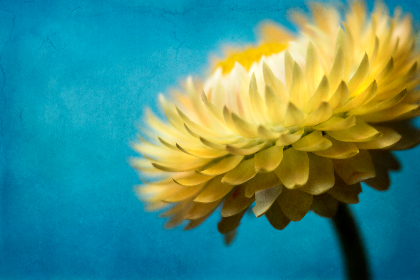 在线va无卡无码免费 在线va无卡无码免费