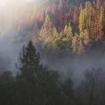 全面解析查资料网站:高效获取各种资料大全的方法 de6bsz8733