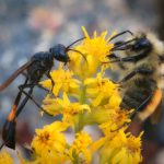 今日吃瓜最新消息:ccgg事件背后的真相揭秘 fdexrrs