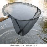 天涯神贴是干嘛的:揭秘天涯社区中那些引人入胜的热门帖子 hzllxw