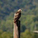 异次元宝藏网站:探索未知领域的奇幻宝藏与惊喜体验 iojqmb38d