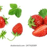 嫩草cy23:探索年轻一代的时尚与生活方式 zauoiur7u9