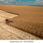 探索海角GitHub:开源项目与社区合作的新天地 4dio0voqu