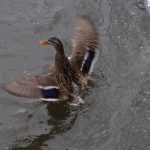 探索gv网站彩虹的多彩世界与独特魅力 zh1kqob9f